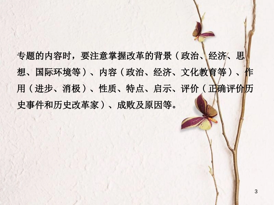 山东省滨州市中考历史复习 专题五 中外历史上的重大改革课件_第3页