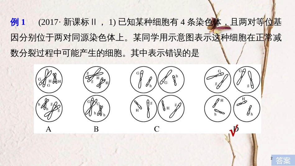 2019版生物高考大一轮复习 热点题型四 透过细胞分裂图像解决减数分裂与可遗传变异的关系课件 北师大版_第2页