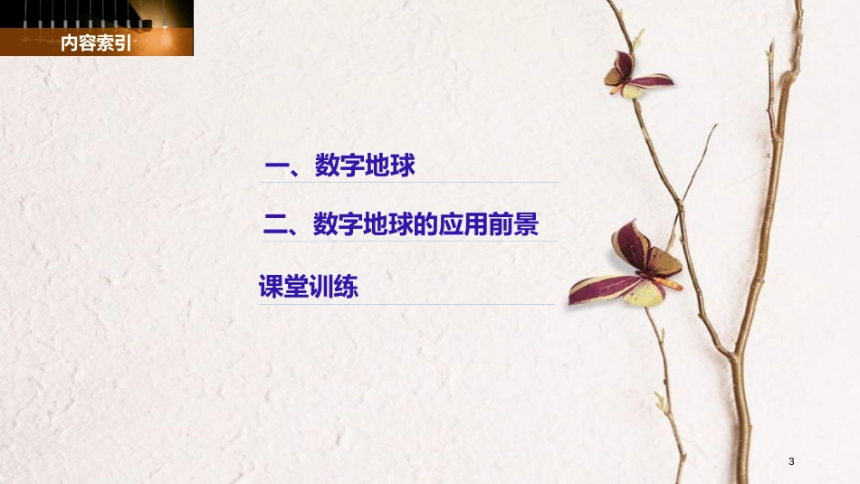 高中地理 第三章 地理信息技术的应用 第四节 数字地球同步备课课件 中图版必修3_第3页
