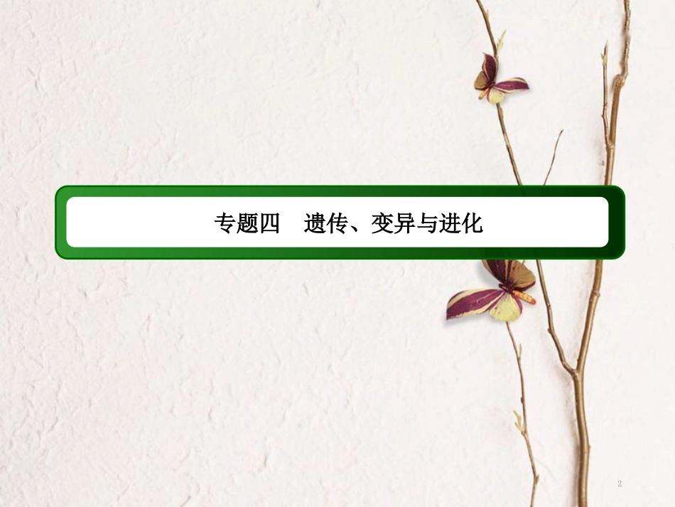 高三生物二轮复习 7遗传的分子课件_第2页