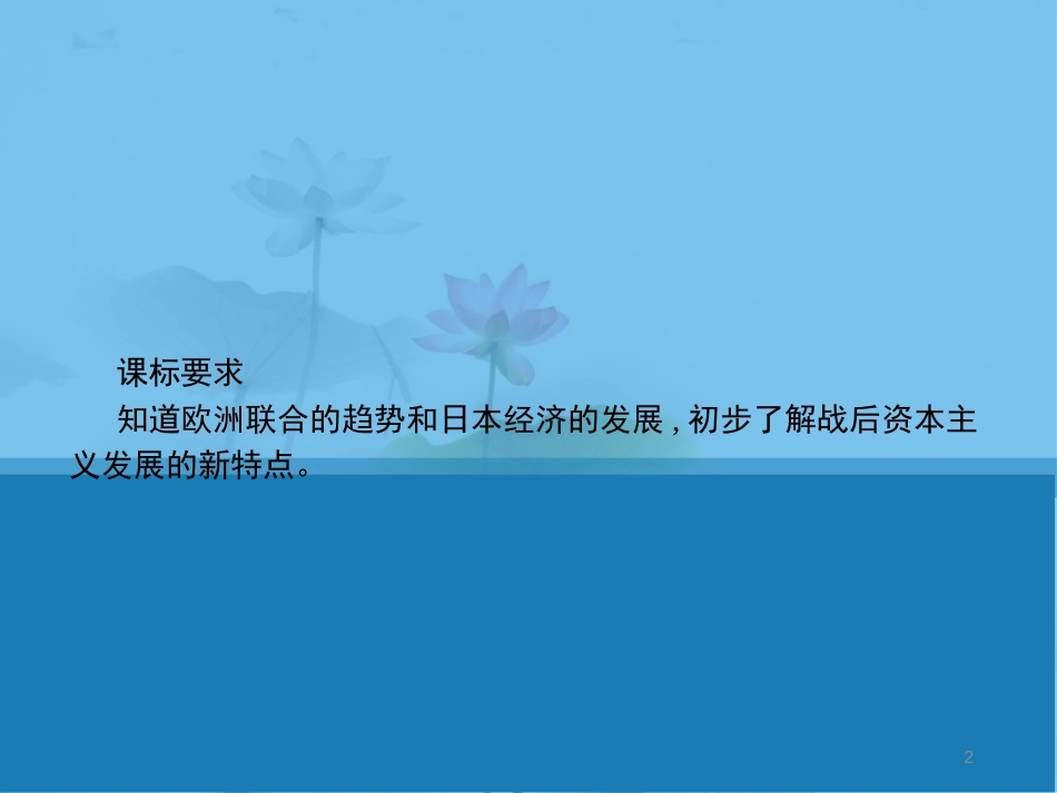 年春九年级历史下册 第三单元 两极下的竞争 13 挑战“两极”课件 北师大版_第2页