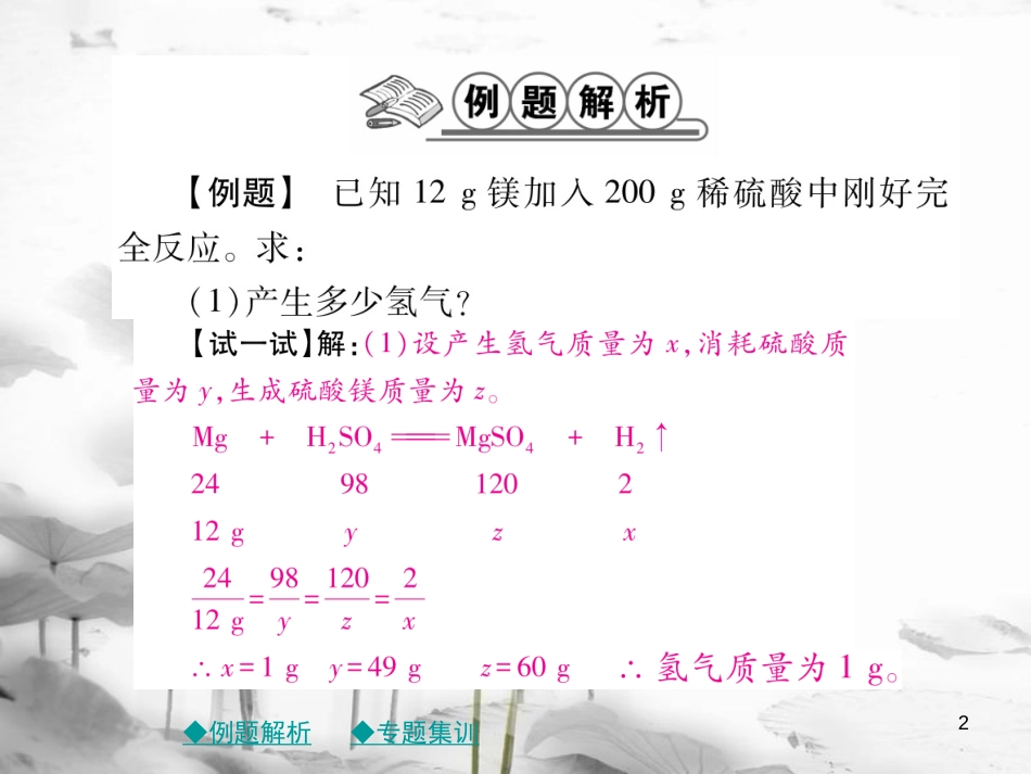 年春九年级化学下册 第九章 溶液 专题特训 有关溶液质量分数的基本计算（一）课件 （新版）新人教版_第2页