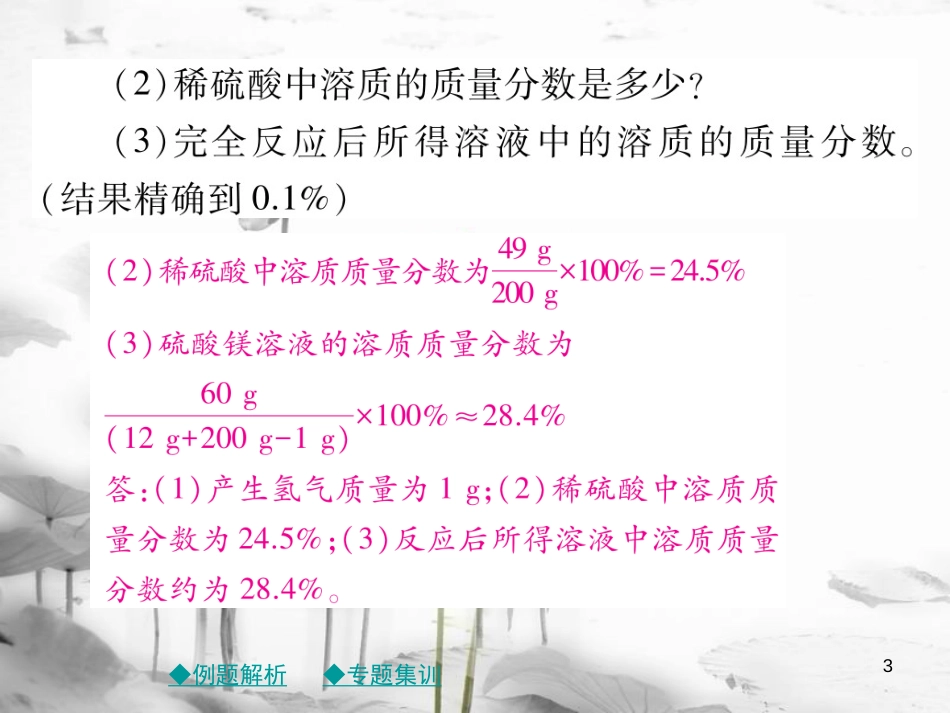 年春九年级化学下册 第九章 溶液 专题特训 有关溶液质量分数的基本计算（一）课件 （新版）新人教版_第3页