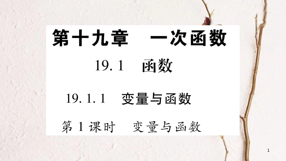 八年级数学下册 第19章 一次函数 19.1.1 变量与函数习题课件 （新版）新人教版_第1页