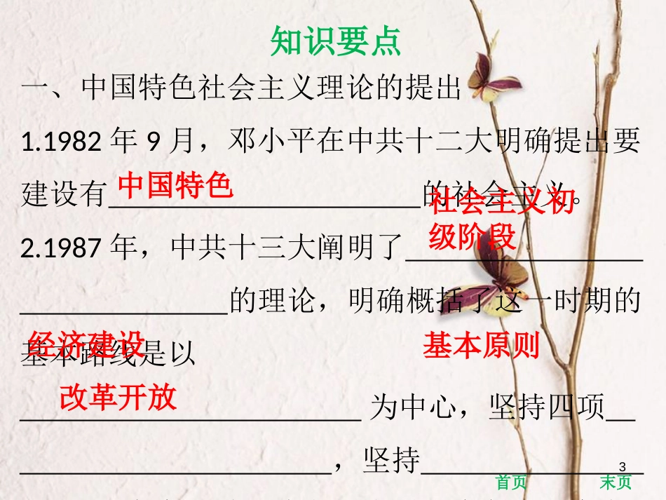 八年级历史下册 第3单元 建设中国特色社会主义 第13课 中国特色社会主义理论的确立与发展课件 北师大版_第3页