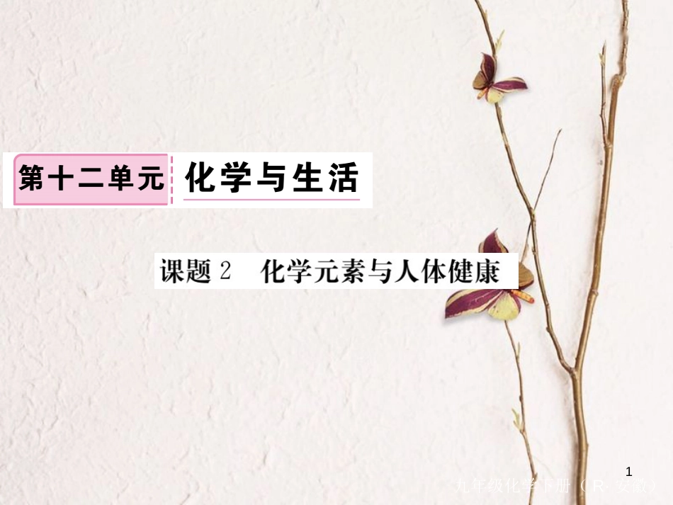 （安徽专版）九年级化学下册 12.2 化学元素与人体健康练习课件 （新版）新人教版_第1页
