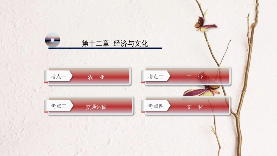 云南省中考地理总复习 第十二章 经济与文化课件_第1页