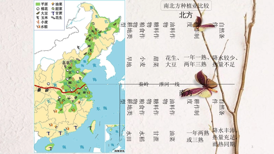 云南省中考地理总复习 第十二章 经济与文化课件_第3页