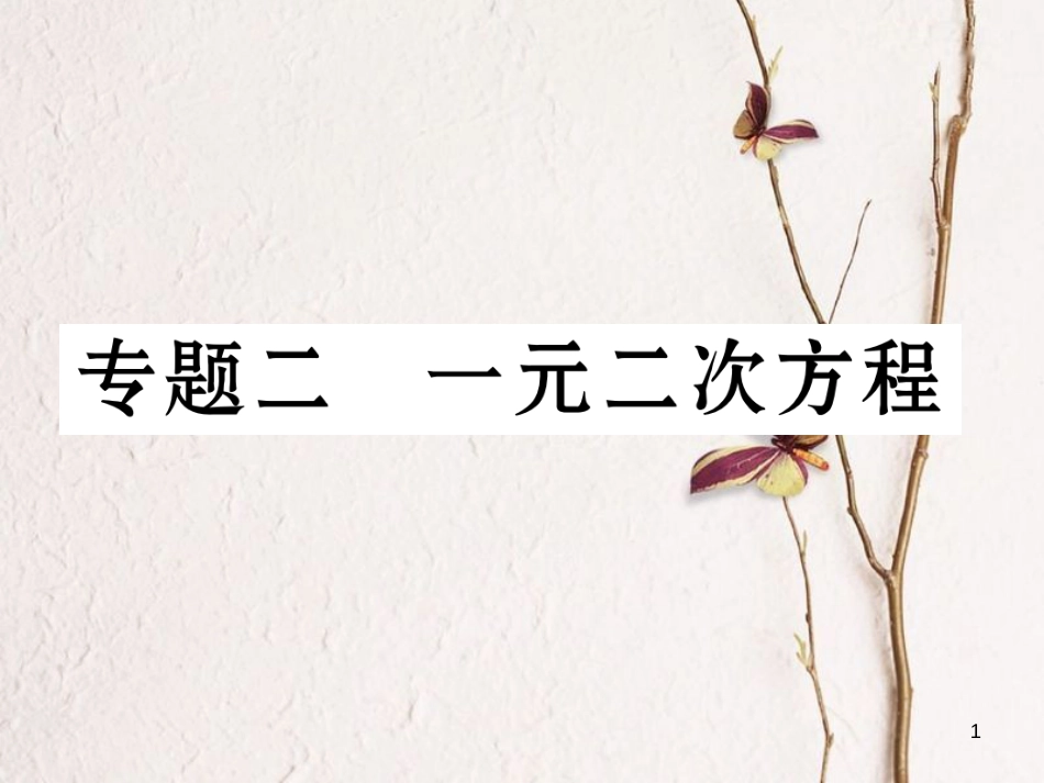 九年级数学下册 专题2 一元二次方程作业课件 （新版）湘教版_第1页