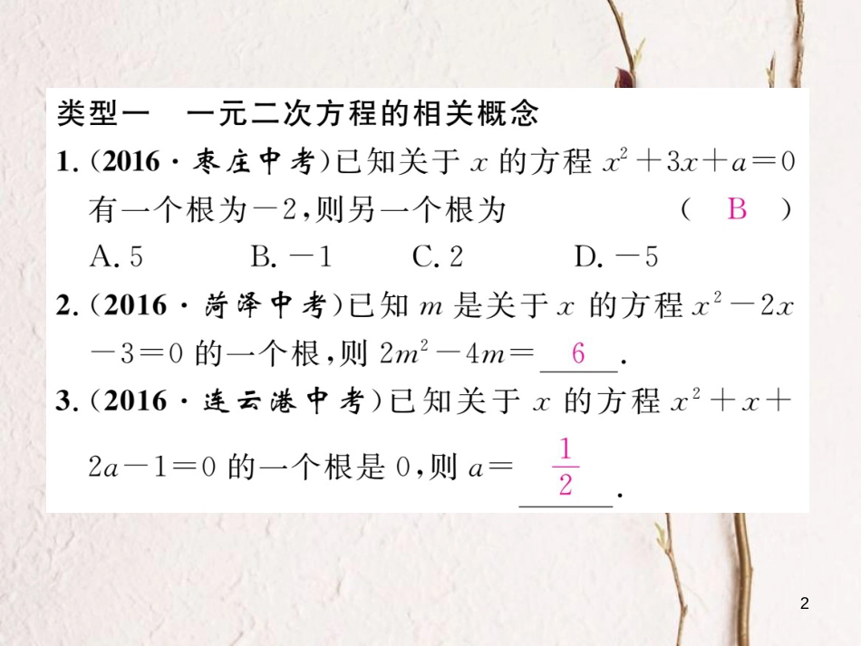 九年级数学下册 专题2 一元二次方程作业课件 （新版）湘教版_第2页