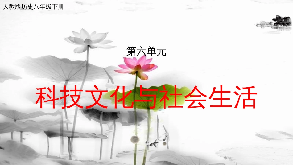 年八年级历史下册 第六单元 科学技术与社会生活复习课件 新人教版_第1页