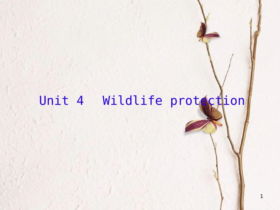 （新课标）高三英语一轮复习 Unit 4 Wildlife protection课件 新人教版必修2_第1页
