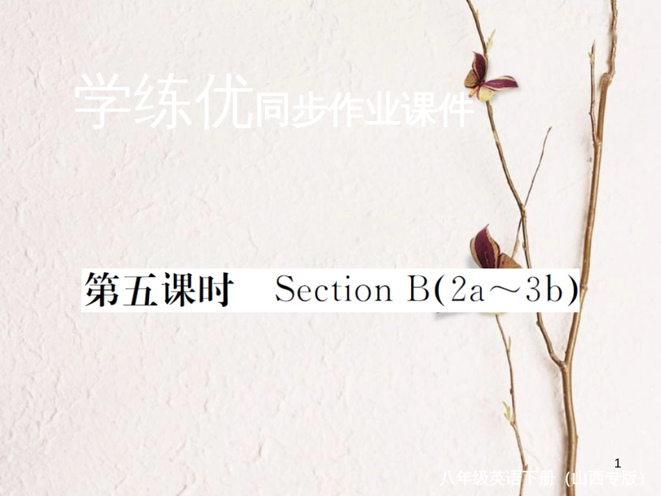 （山西专版）八年级英语下册 Unit 2 I'll help to clean up the city parks（第5课时）作业课件 （新版）人教新目标版_第1页