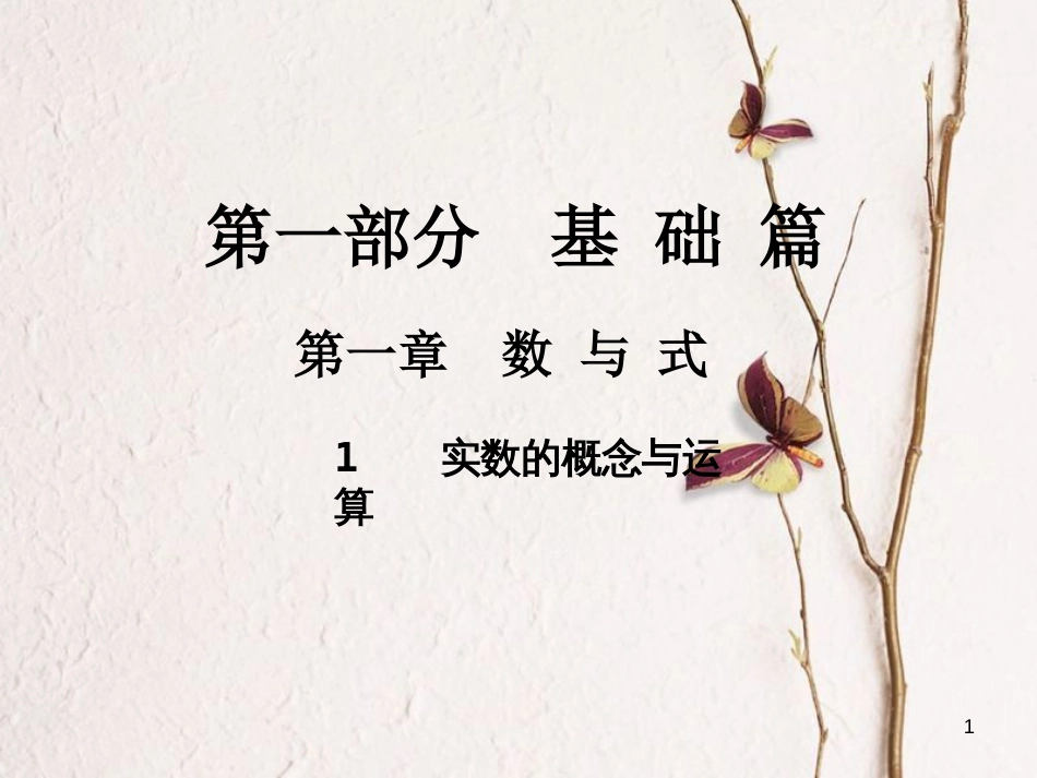 中考数学总复习 第一部分 基础篇 第一章 数与式 考点1 实数的概念与运算课件_第1页