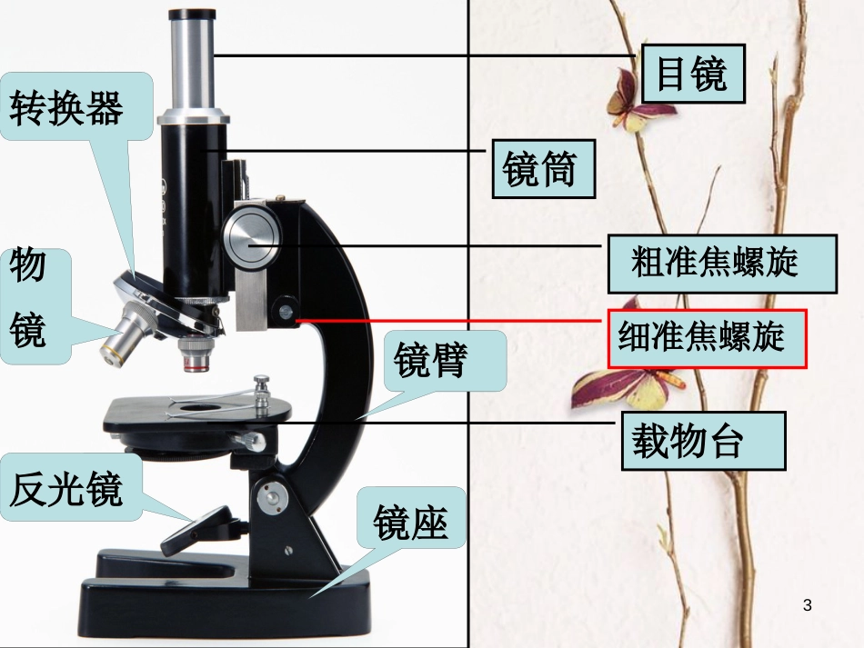 辽宁省北票市高中生物 第一章 走近细胞 1.2 细胞的多样性和统一性课件 新人教版必修1_第3页