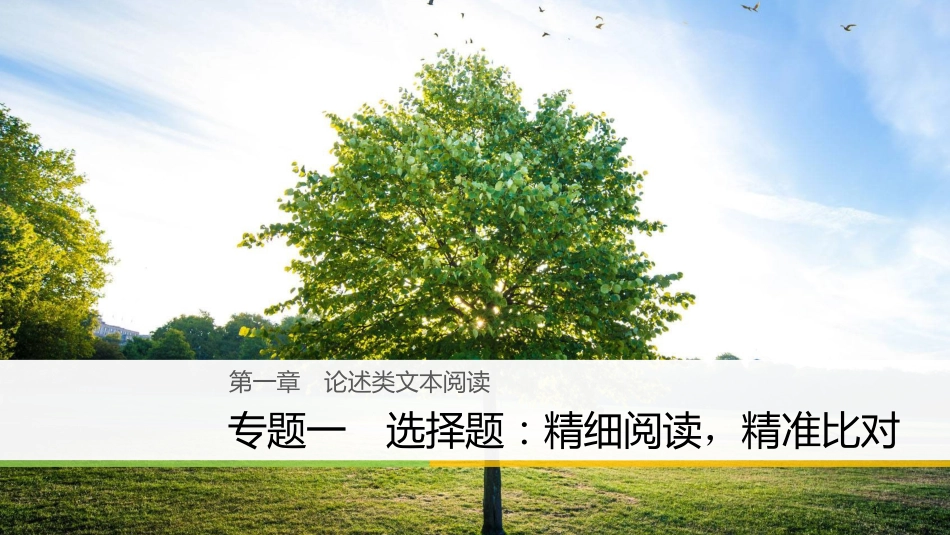 （全国通用）高考语文大二轮复习与增分策略 第一章 论述类文本阅 专题一 选择题：精细阅读，精准比对课件_第1页