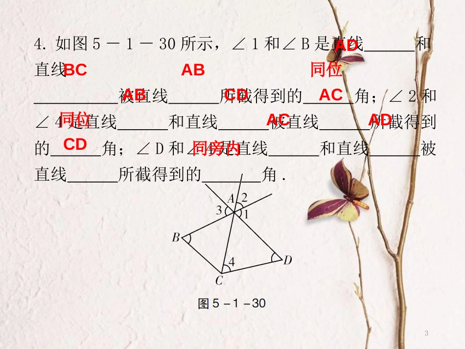 七年级数学下册 第五章 相交线与平行线 5.1 相交线 5.1.3 同位角、内错角、同旁内角课件 （新版）新人教版_第3页