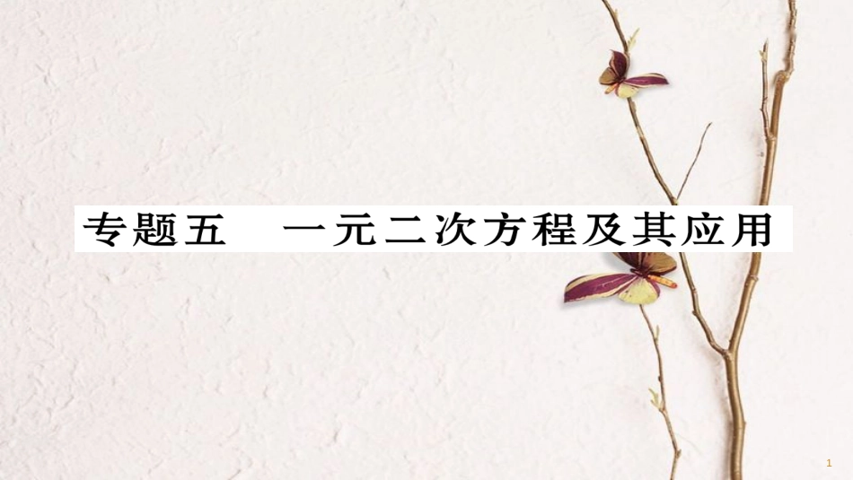 九年级数学下册 期末专题复习 专题5 一元二次方程及其应用作业课件 （新版）华东师大版_第1页