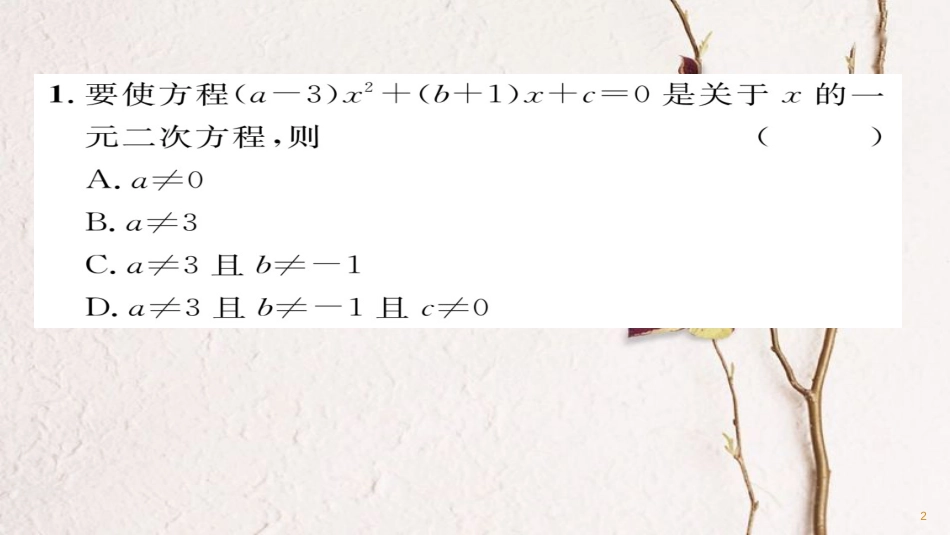 九年级数学下册 期末专题复习 专题5 一元二次方程及其应用作业课件 （新版）华东师大版_第2页