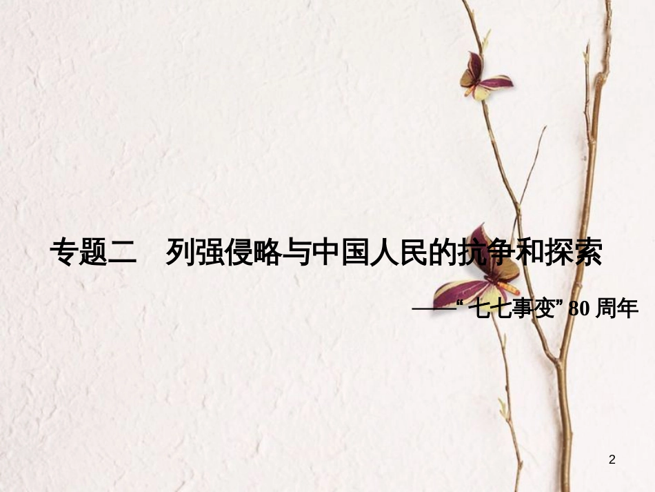 安徽省中考历史复习 第3部分 专题探究篇 专题2 列强侵略与中国人民的抗争和探索课件 新人教版_第2页