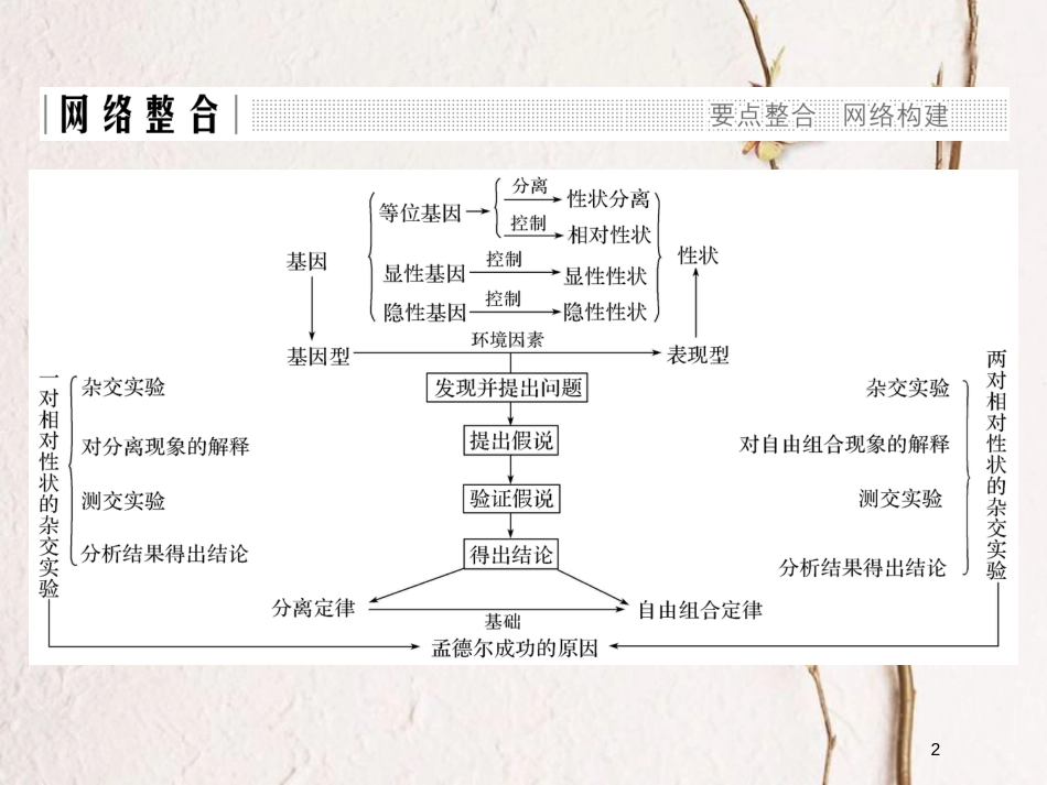 高中生物 第一章 孟德尔定律章末整合同步备课课件 浙科版必修2_第2页