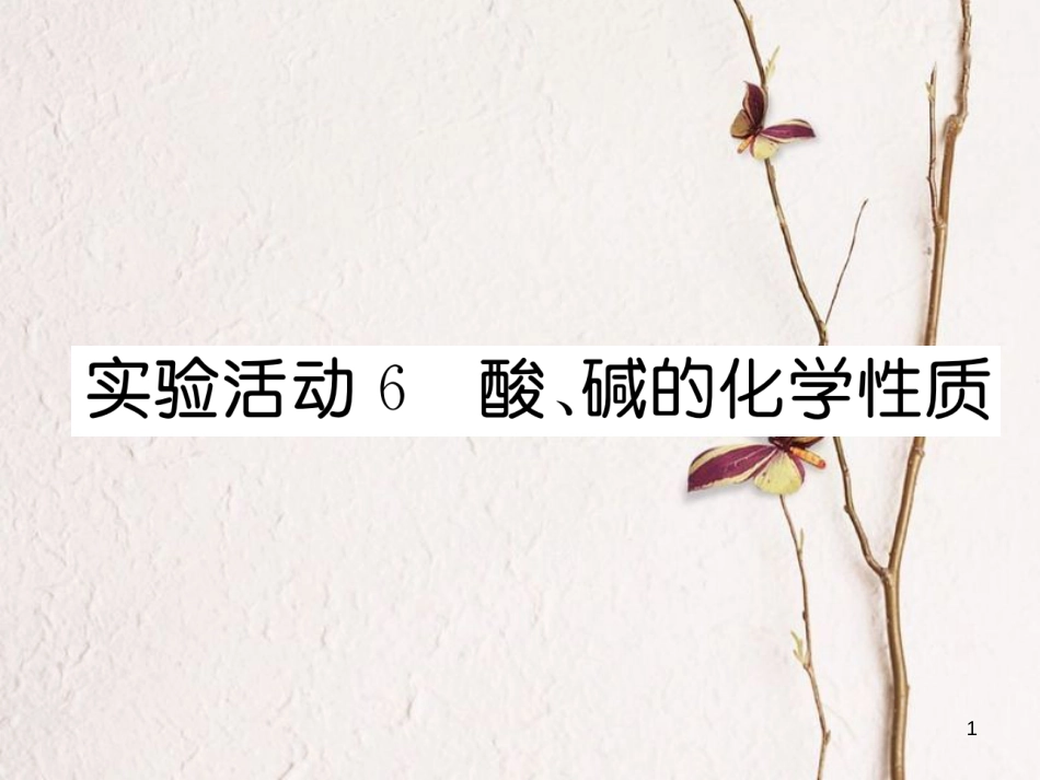 九年级化学下册 第10单元 酸和碱 实验活动6 酸、碱的化学性质作业课件 （新版）新人教版_第1页