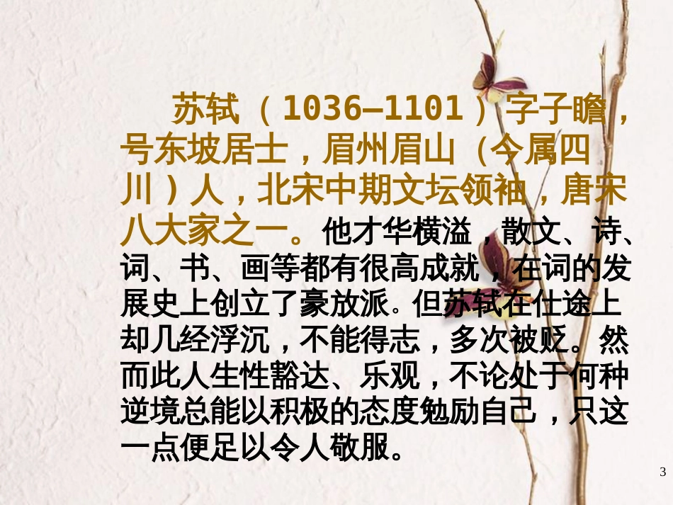 四川省达州市八年级语文下册 25水调歌头课件 （新版）新人教版_第3页