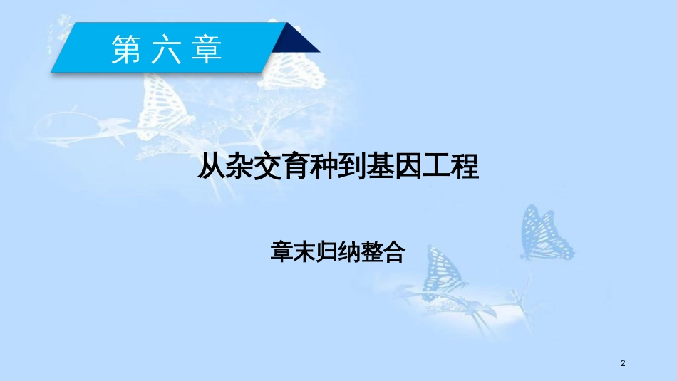 高中生物 第6章 从杂交育种到基因工程归纳整合课件 新人教版必修2_第2页