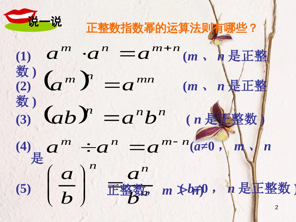 八年级数学上册 1.3 整数指数幂 1.3.3 整数指数幂的运算法则课件 （新版）湘教版_第2页