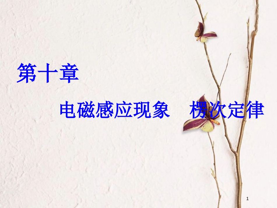 2019届高考物理一轮复习 第十章 电磁感应 第1节 电磁感应现象 楞次定律课件_第1页