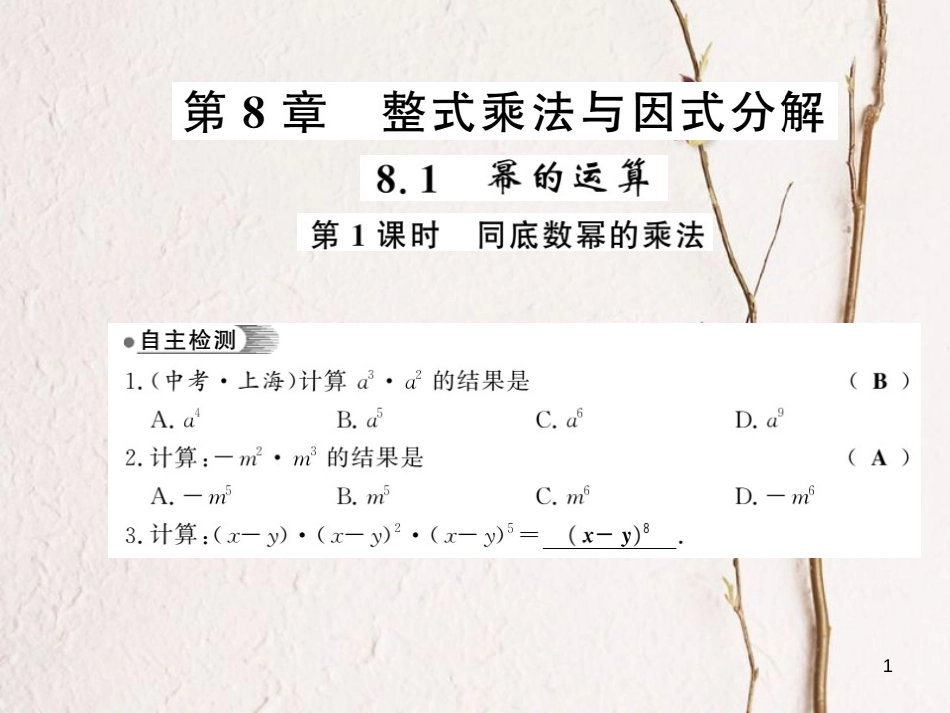 七年级数学下册 第八章 整式乘法与因式分解 8.1 幂的运算（第1课时）习题课件 （新版）沪科版_第1页