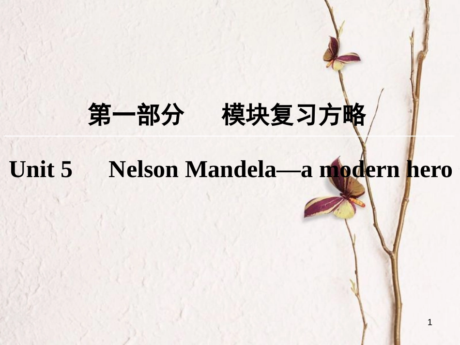 版高考英语大一轮复习 第1部分 模块复习方略 Unit 5 Nelson Mandela-a modern hero课件 新人教版必修1_第1页