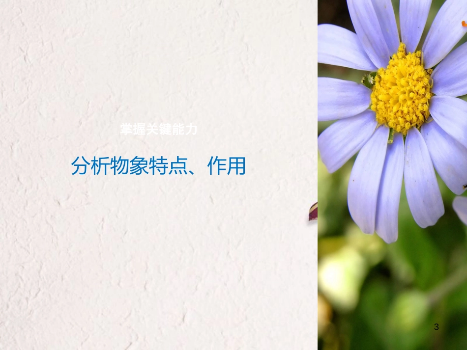 （全国版）2019版高考语文大一轮复习 第二章 文学类文本阅读 散文阅读 专题三 理解必备知识，掌握关键能力 核心突破五 分析概括形象课件_第3页