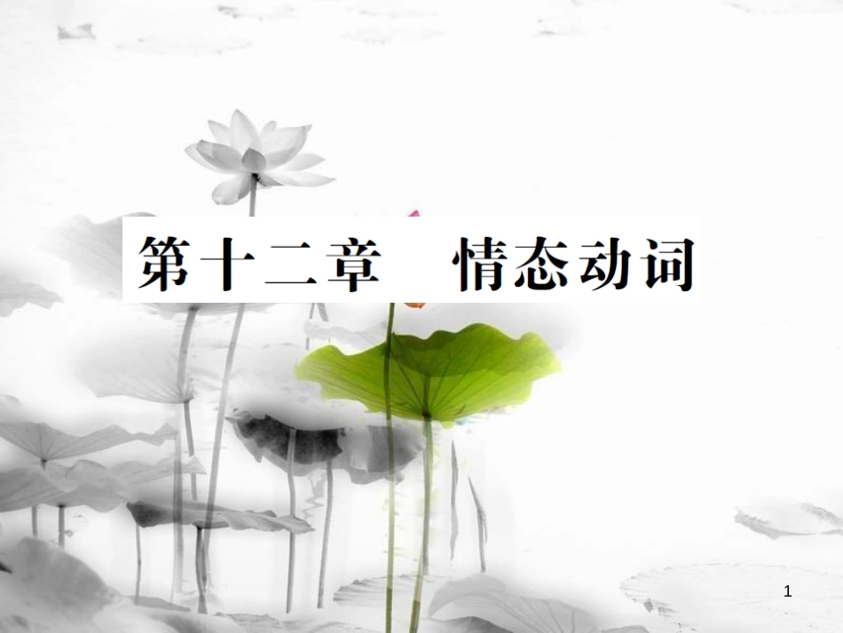 届中考英语复习 第二轮 语法突破 第十二章 情态动词课件_第1页