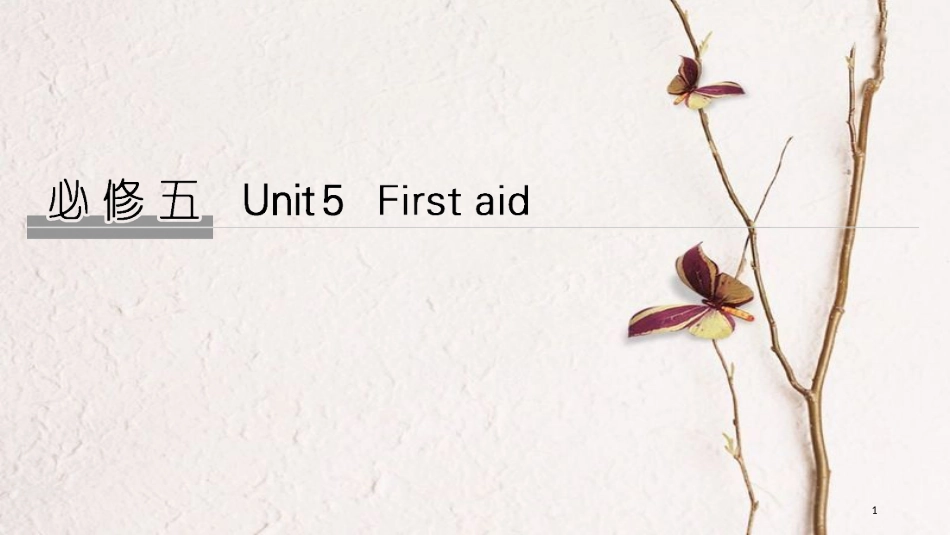 2019版高考英语大一轮复习 Unit 5 First aid课件 新人教版必修5_第1页