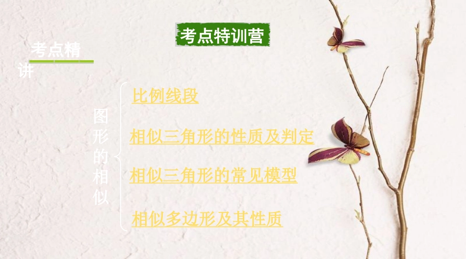 浙江省中考数学复习第一部分考点研究第四单元三角形第21课时图形的相似课件_第2页