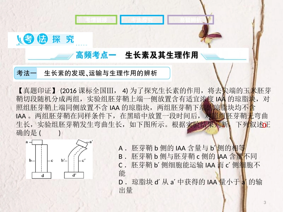 高考生物二轮复习 第二部分 专题十 植物生命活动的调节课件_第3页