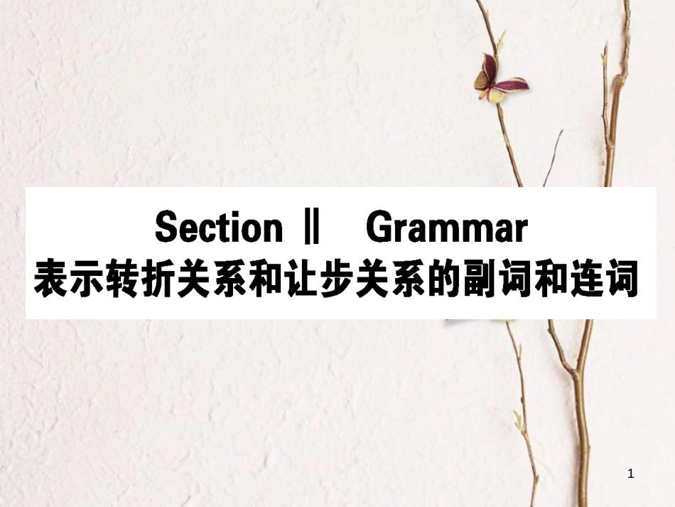 高中英语 Module 2 Developing and Developed Countries Section Ⅱ Grammar课件 外研版必修3_第1页