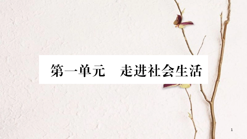 八年级道德与法治上册 第一单元 走进社会生活 第一课 丰富的社会生活习题课件 新人教版_第1页