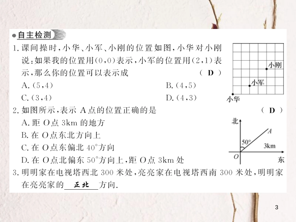 八年级数学下册 第3章 图形与坐标 3.1 平面直角坐标系（第2课时）习题课件 （新版）湘教版[共13页]_第3页