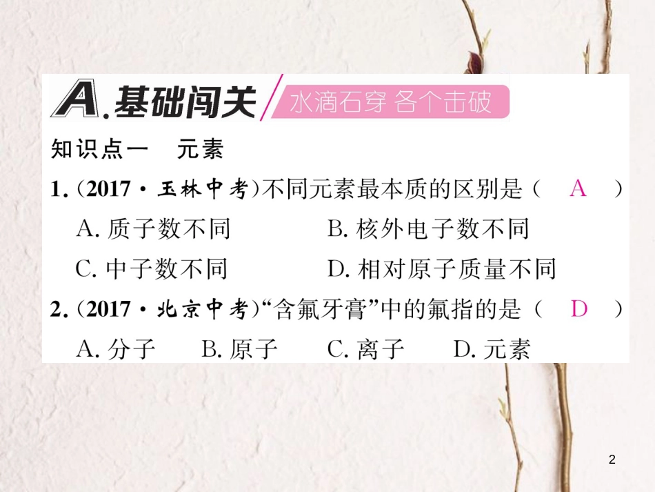 九年级化学上册 第3单元 物质构成的奥秘 3.3 元素 第1课时 元素和元素符号作业课件 （新版）新人教版_第2页