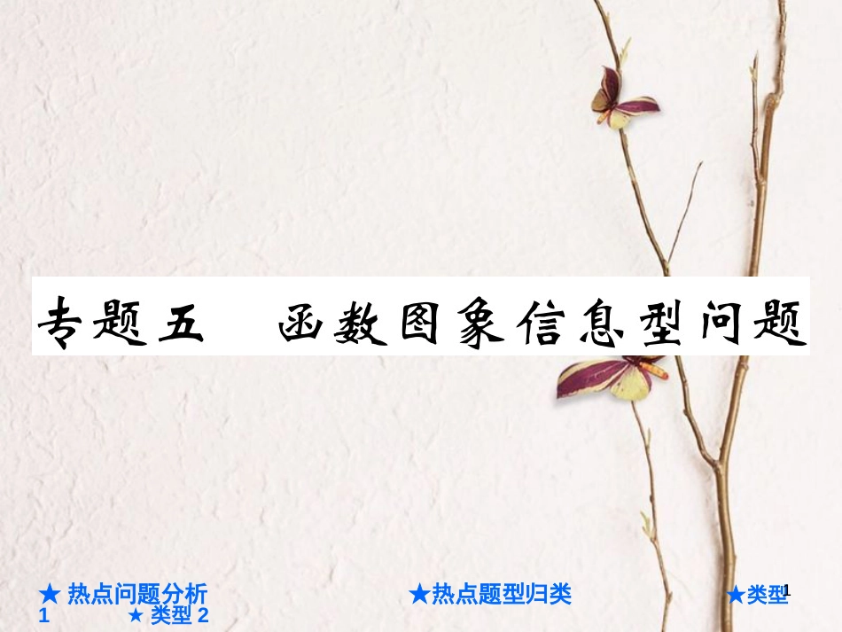 中考数学总复习 第二部分 重点专题提升 专题五 函数图象信息问题课件_第1页