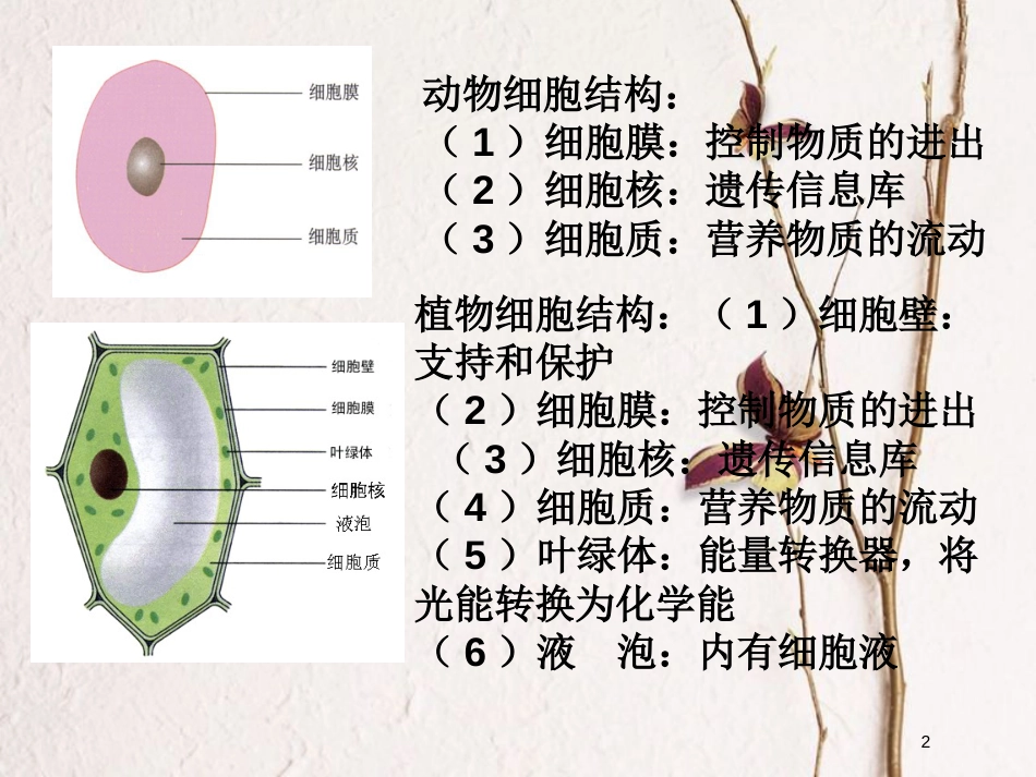 云南省峨山彝族自治县高中生物 第一章 走近细胞 1.1 从生物圈到细胞3课件 新人教版必修1_第2页