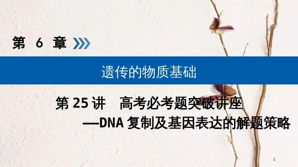 2019版高考生物大一轮复习 第25讲 DNA复制及基因表达的解题策略优选课件_第1页
