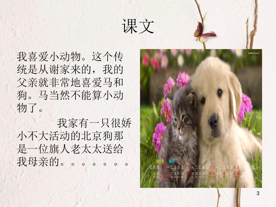 九年级语文上册 第九课《我喜爱小动物》课件6 新疆教育版_第3页