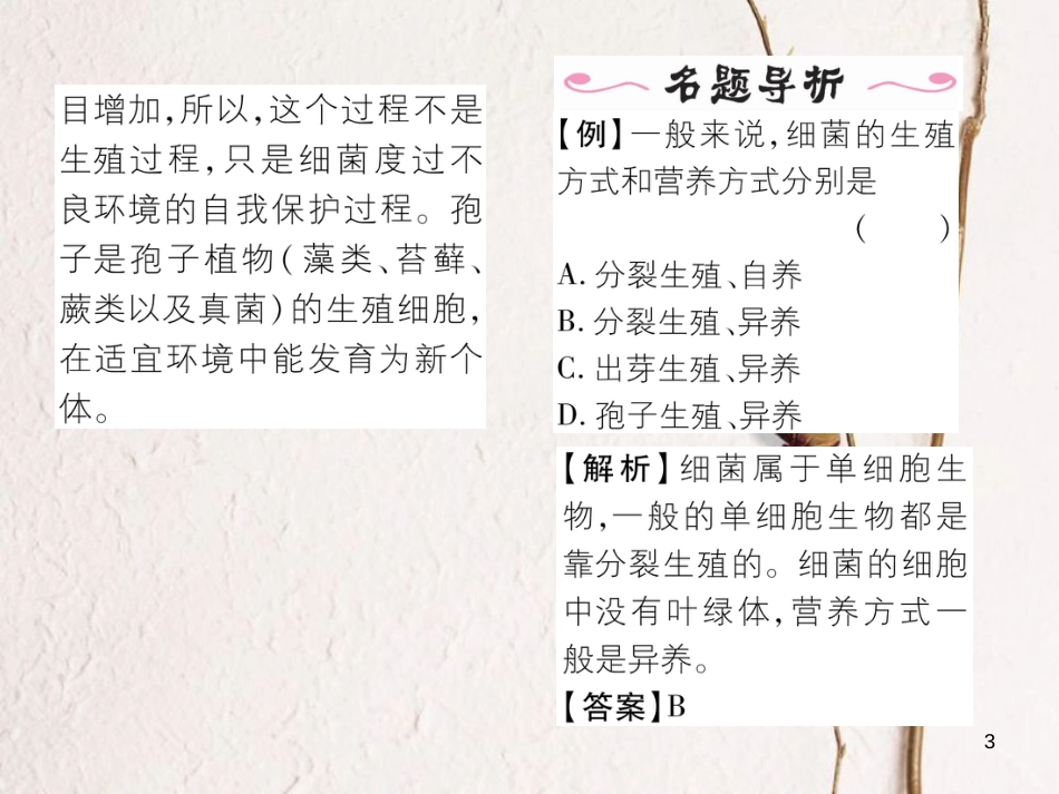 八年级生物上册 第五单元 第4章 第二节 细菌课件 （新版）新人教版_第3页