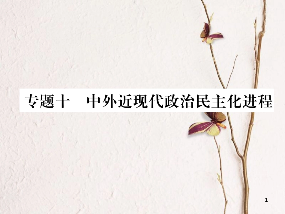 （河北专版）中考历史总复习 专题10 中外近现代政治民主化进程课件_第1页