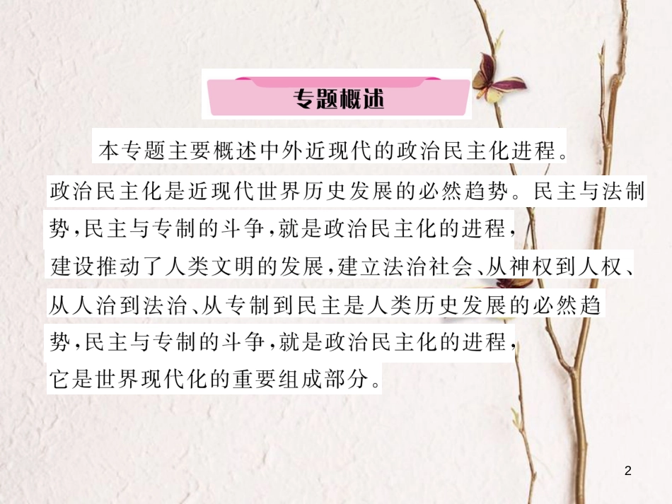 （河北专版）中考历史总复习 专题10 中外近现代政治民主化进程课件_第2页