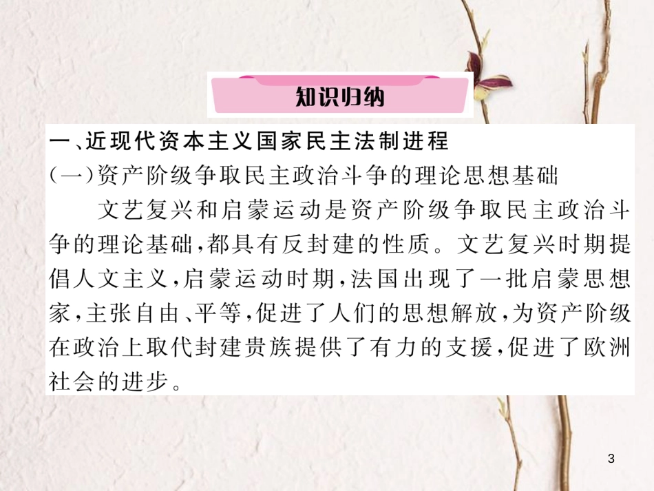 （河北专版）中考历史总复习 专题10 中外近现代政治民主化进程课件_第3页