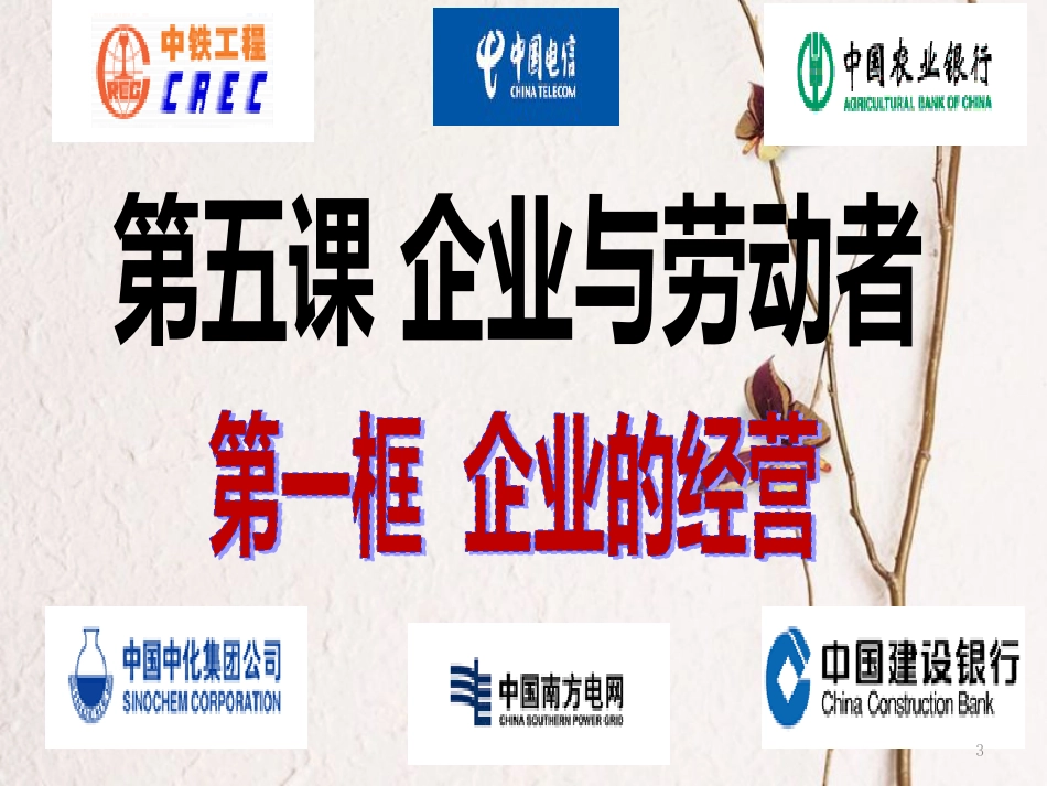 江西省南城县高中政治 5.1企业的经营课件 新人教版必修1_第3页
